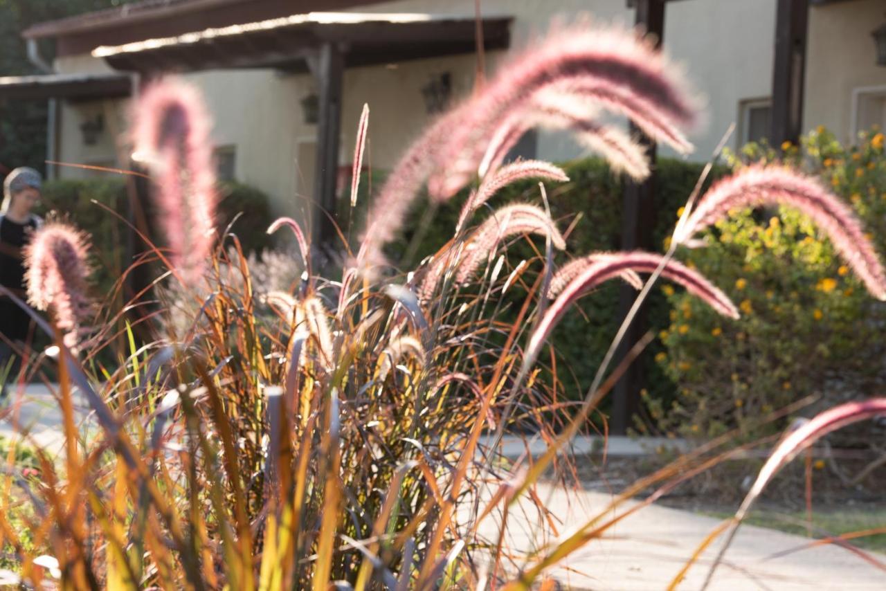 Kibbutz Tiratzvi - Country Lodging Tirat Ẕevi Kültér fotó