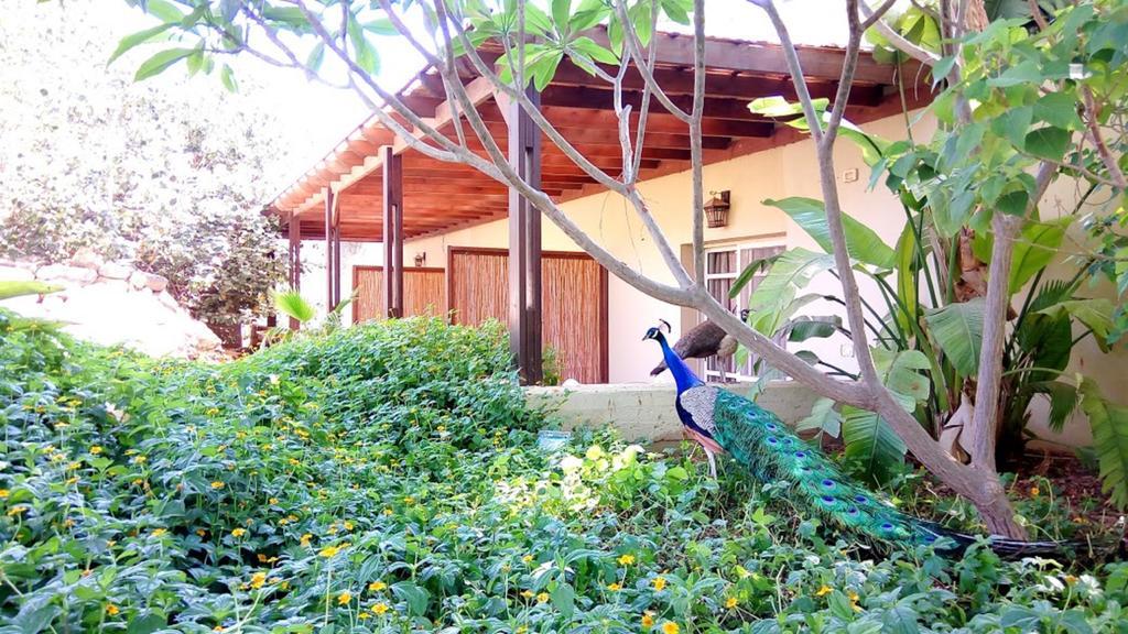 Kibbutz Tiratzvi - Country Lodging Tirat Ẕevi Kültér fotó