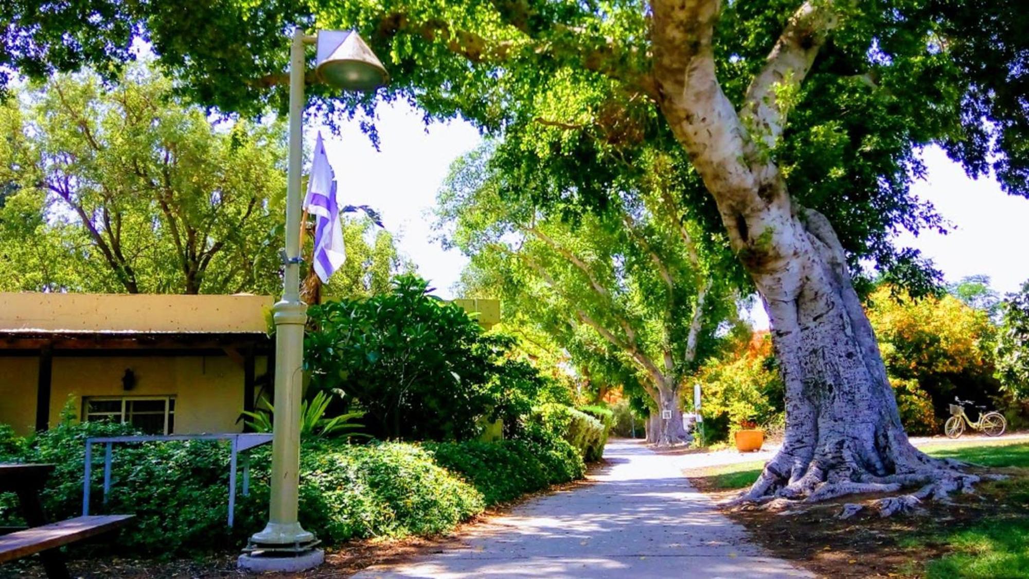 Kibbutz Tiratzvi - Country Lodging Tirat Ẕevi Kültér fotó